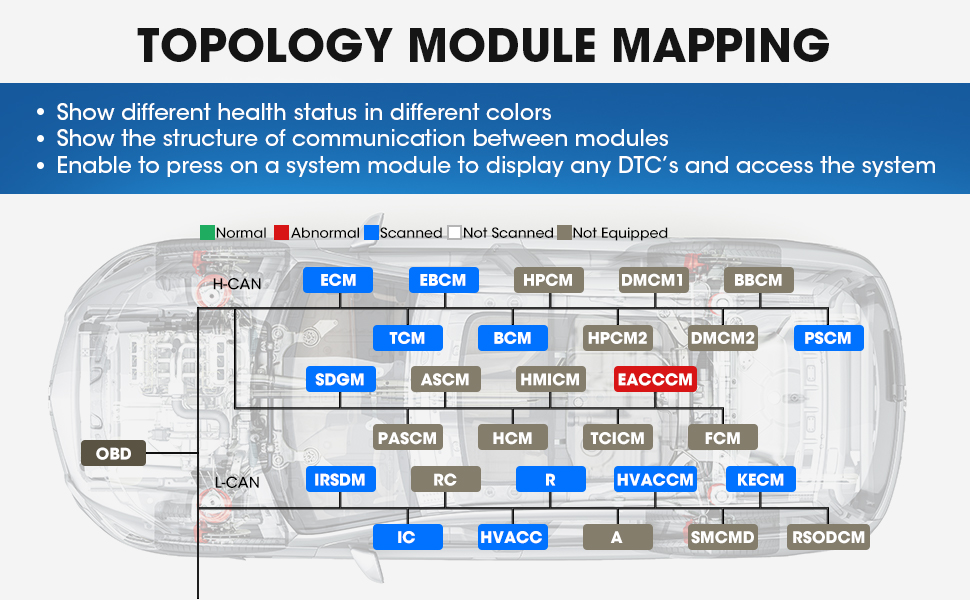 Revolutionary Topology Module Mapping